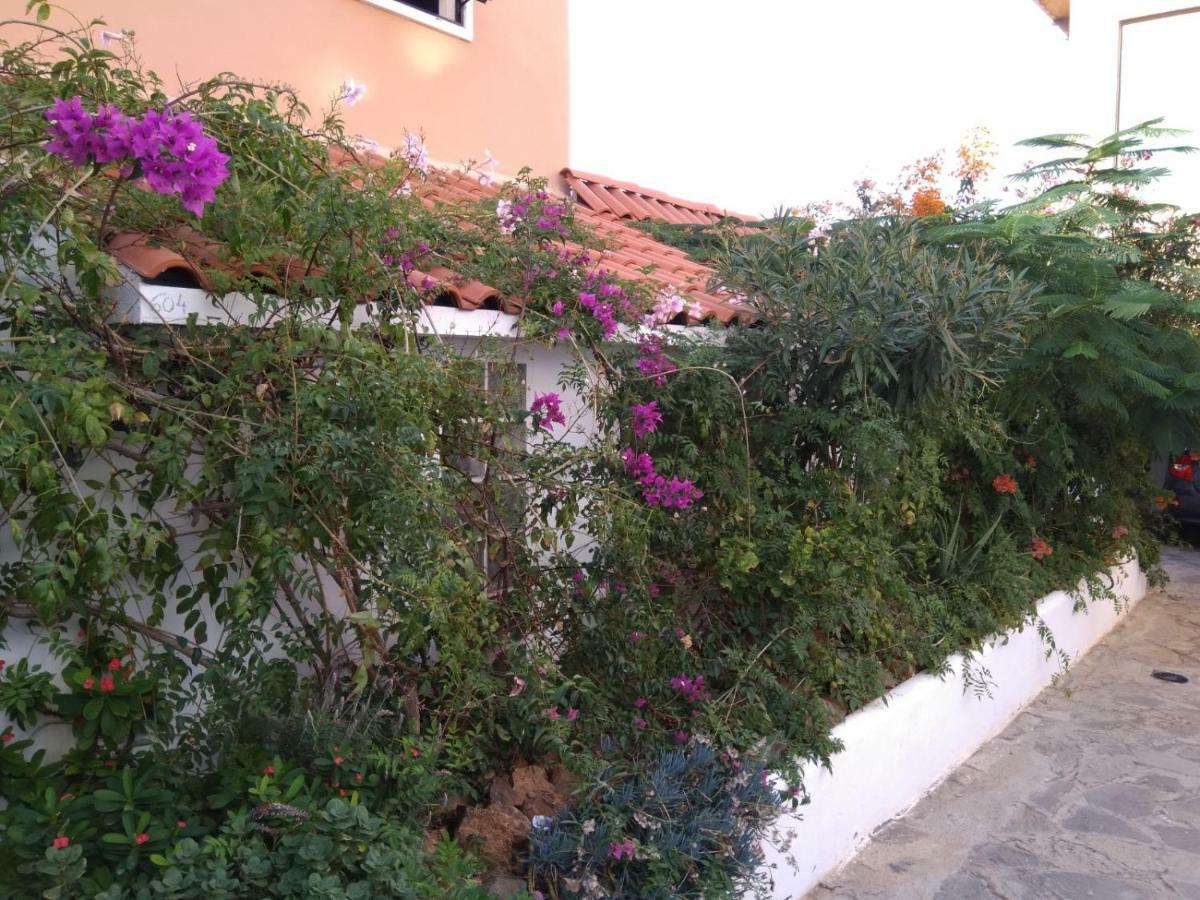 Ocean View Apartment Costa Adeje  Zewnętrze zdjęcie